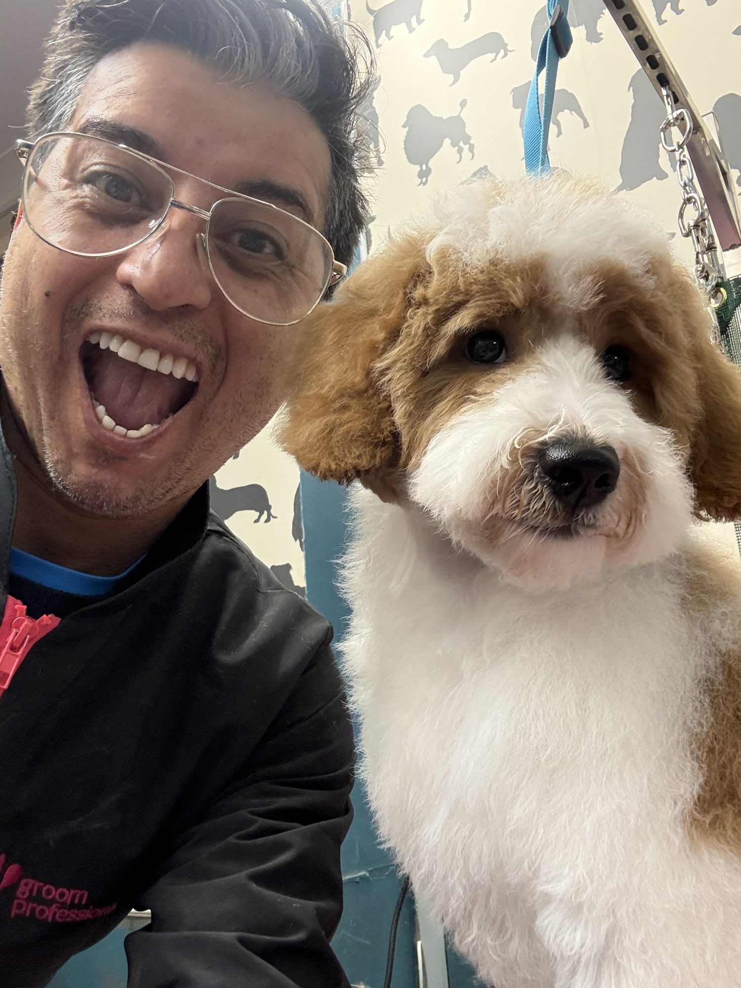 Thiago Jones, head groomer and owner, with a freshly groomed doodle